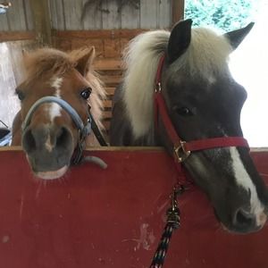 Meet your Posher, Sharon